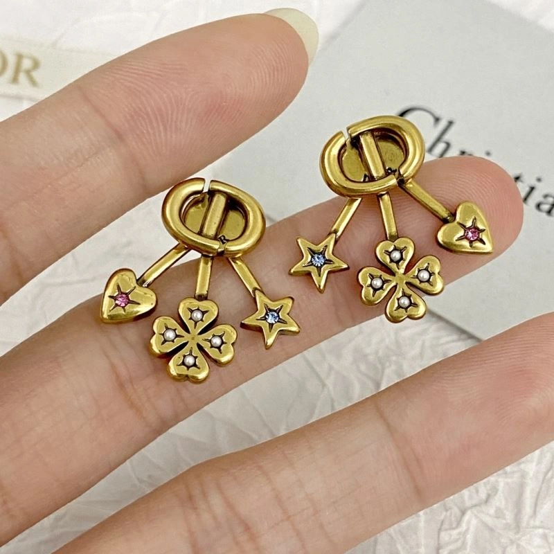 Colorful Christian Dior Earrings 234986