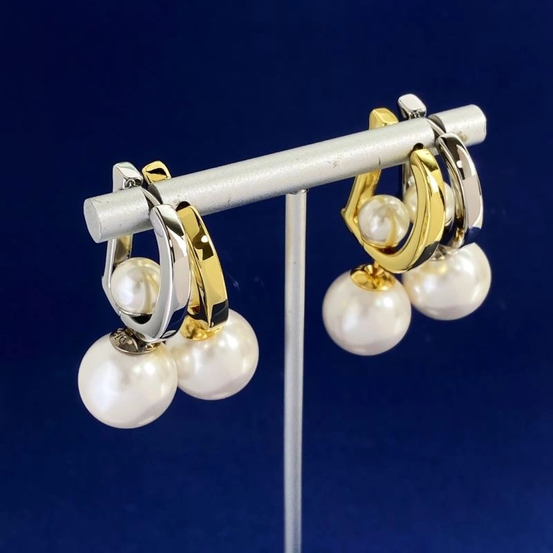 Christian Dior Earrings Unique 234981