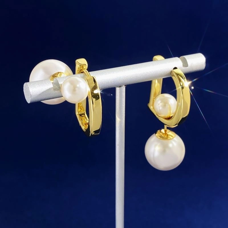 Christian Dior Earrings Unique 234981