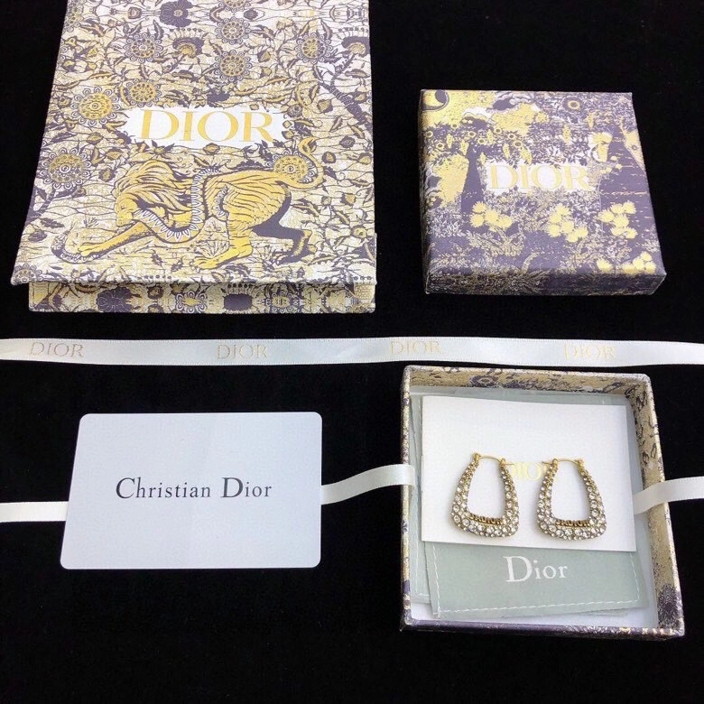 ComfortFit Christian Dior Earrings 234967