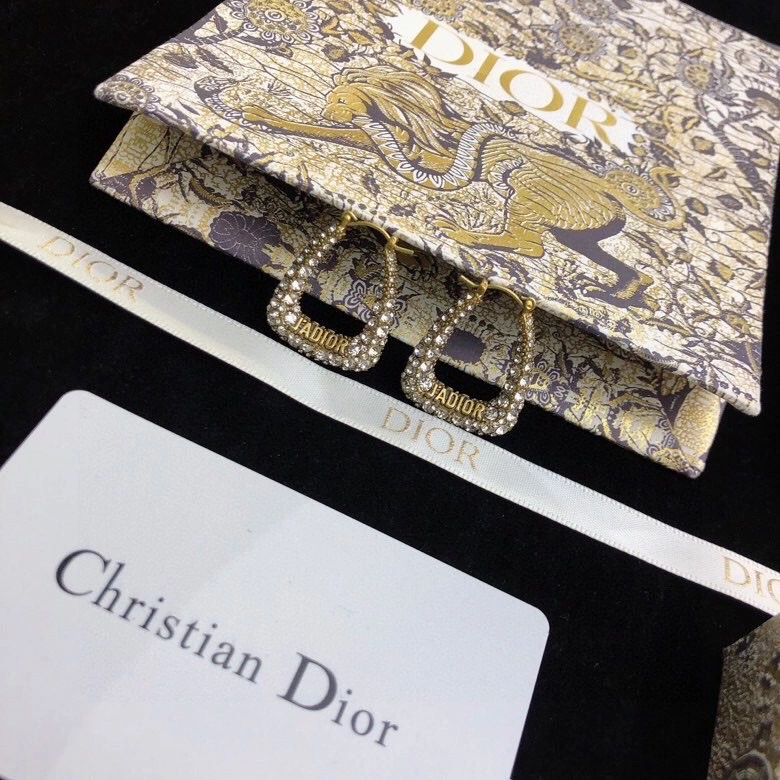 ComfortFit Christian Dior Earrings 234967