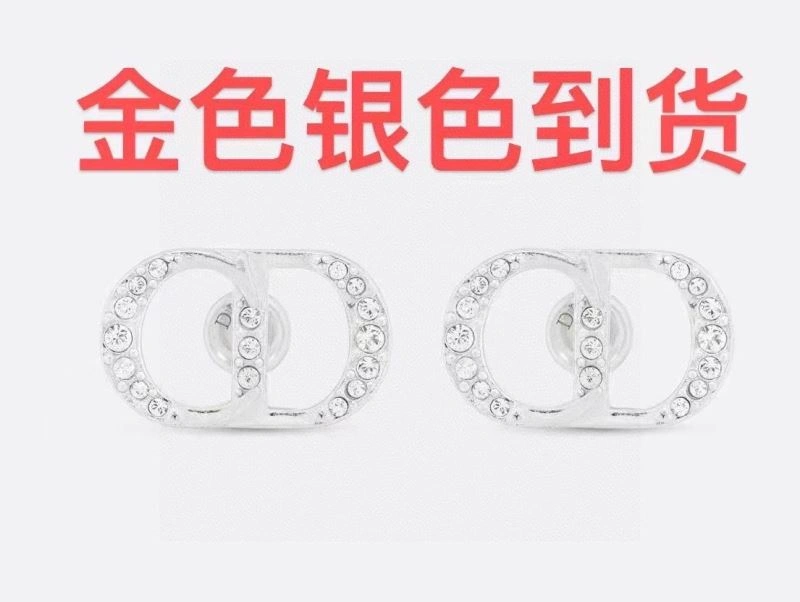QuickDry Christian Dior Earrings 234973