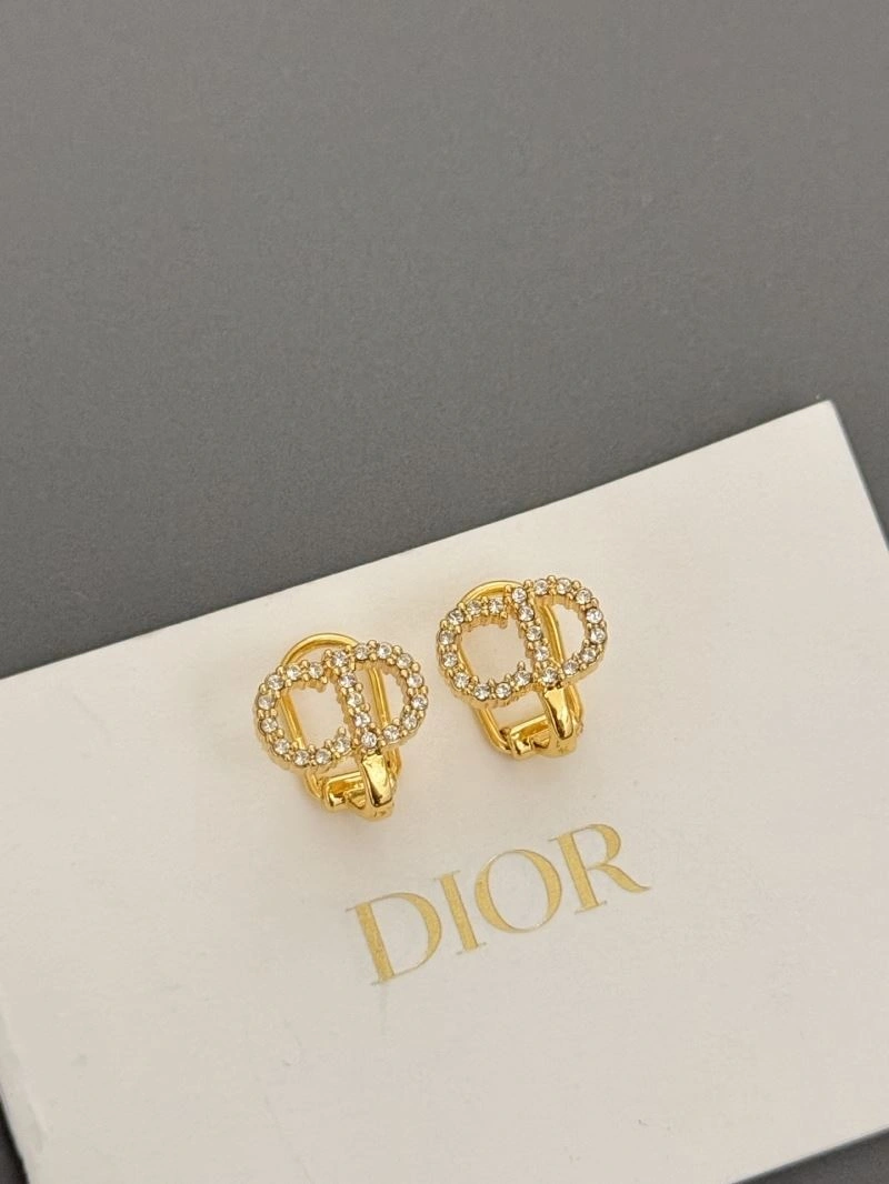 Casual Christian Dior Earrings 234972