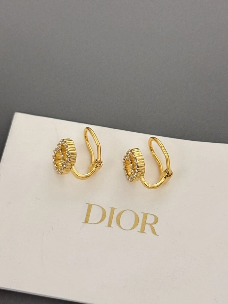 Casual Christian Dior Earrings 234972