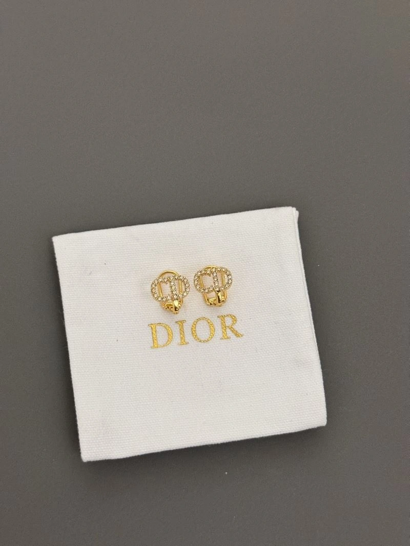 Casual Christian Dior Earrings 234972
