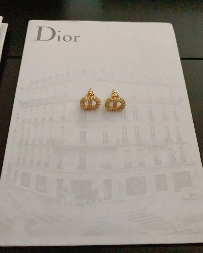 Durable Christian Dior Earrings 234966