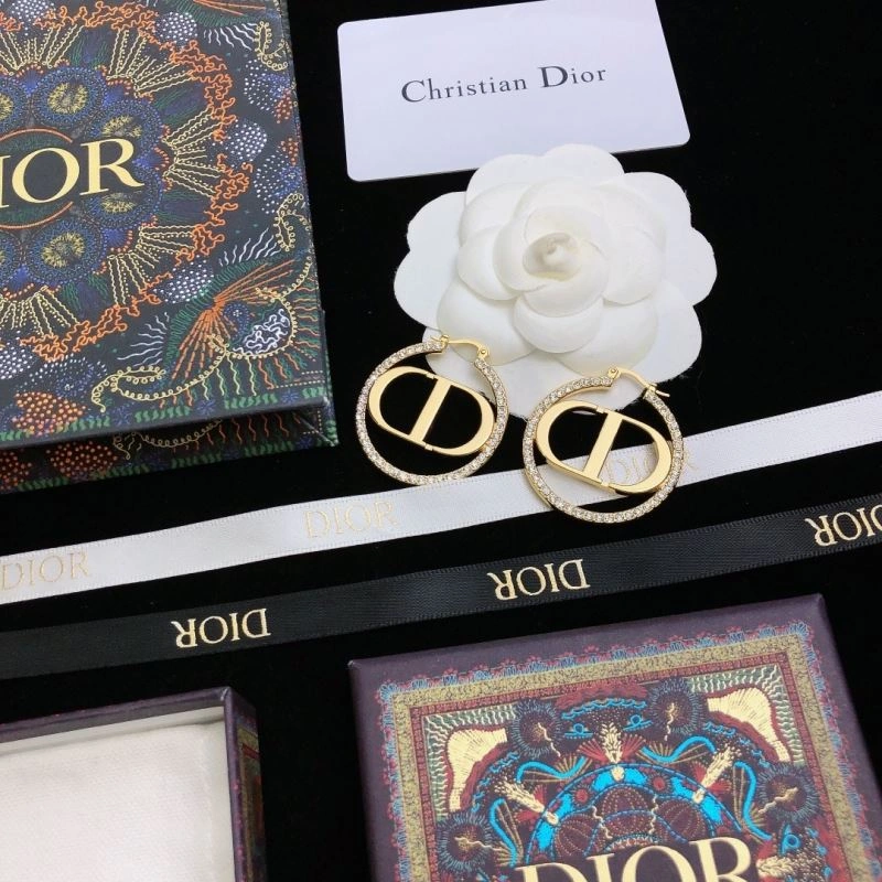 WrinkleFree Christian Dior Earrings 234954
