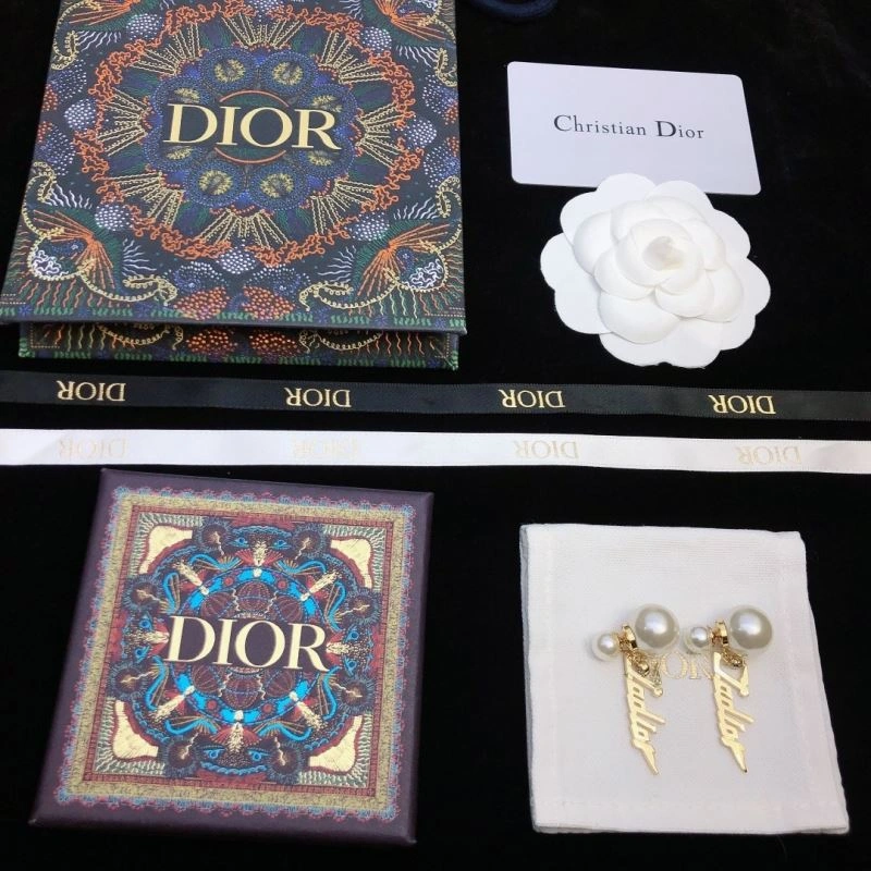 TopPick Christian Dior Earrings 234952