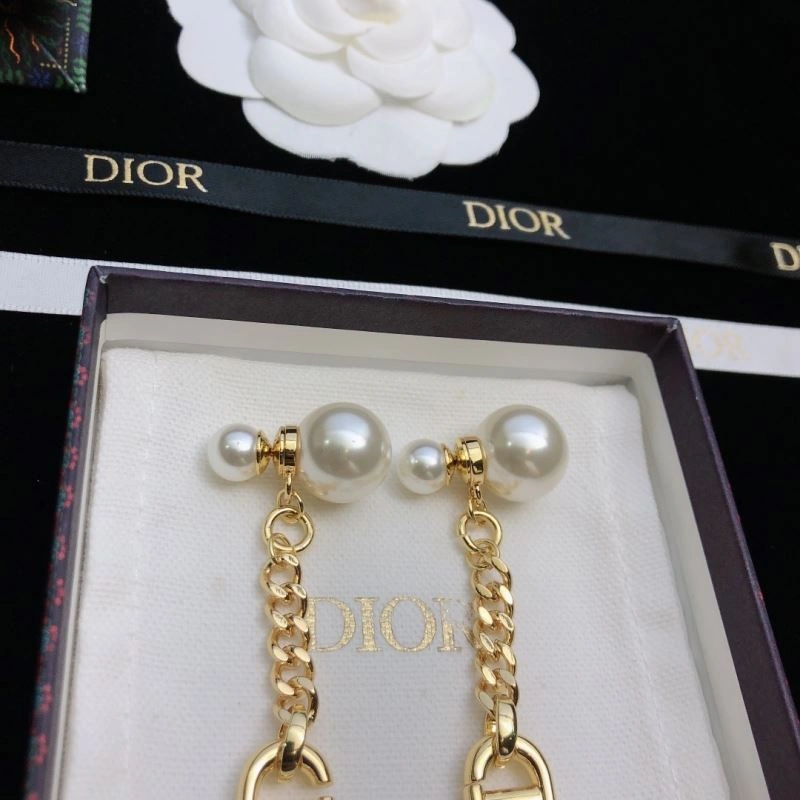 Christian Dior Earrings Reliable 235013