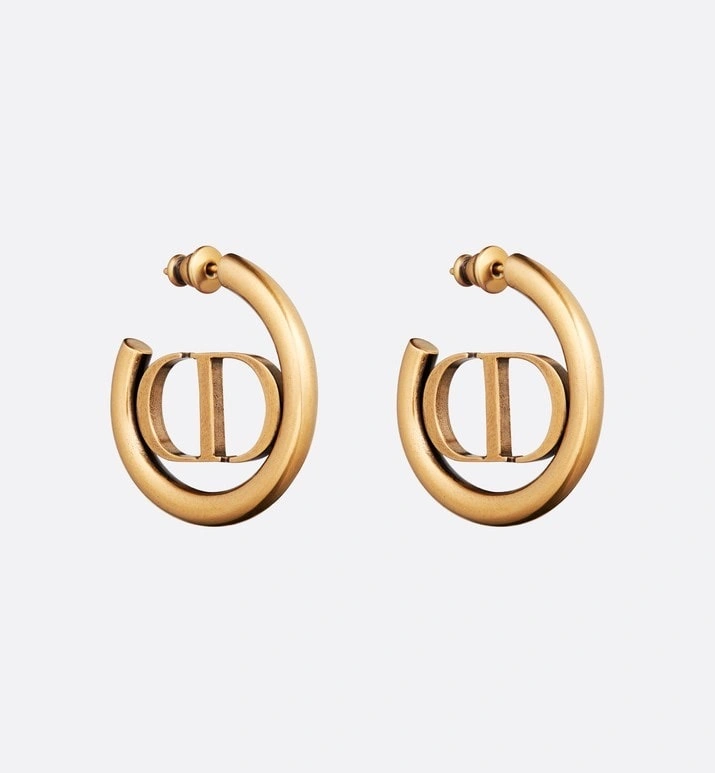 Functional Christian Dior Earrings 234943