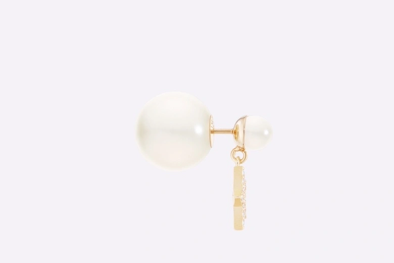 RelaxedFit Christian Dior Earrings 234937