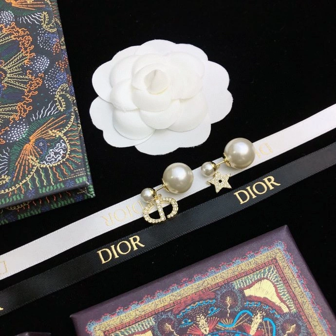 RelaxedFit Christian Dior Earrings 234937