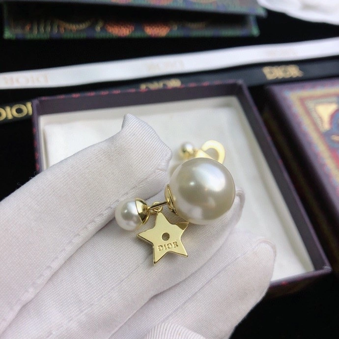 RelaxedFit Christian Dior Earrings 234937