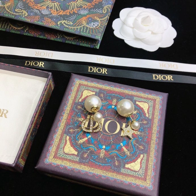 RelaxedFit Christian Dior Earrings 234937