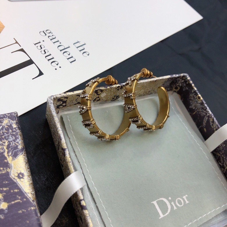 WaterResistant Christian Dior Earrings 234928