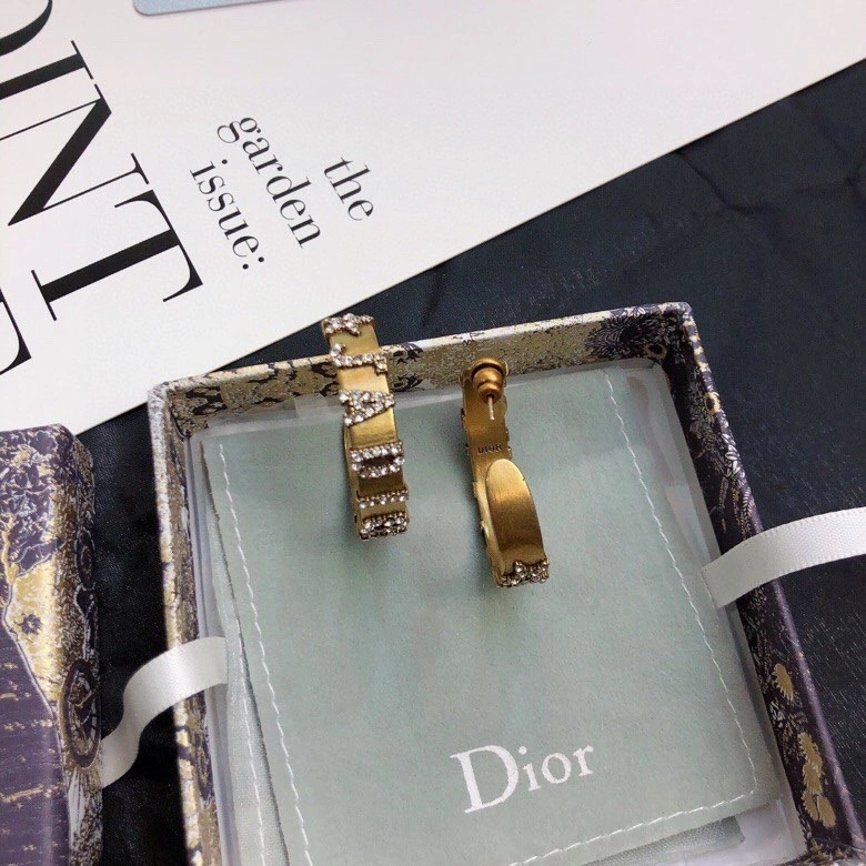 WaterResistant Christian Dior Earrings 234928
