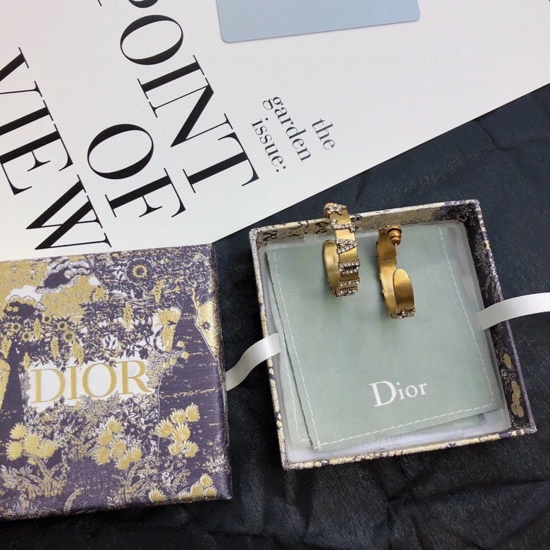 WaterResistant Christian Dior Earrings 234928
