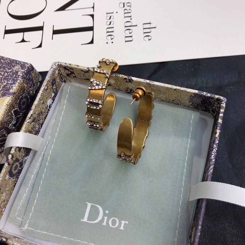 WaterResistant Christian Dior Earrings 234928