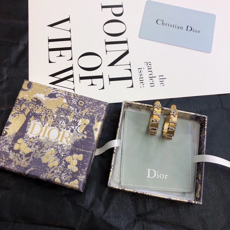 WaterResistant Christian Dior Earrings 234928