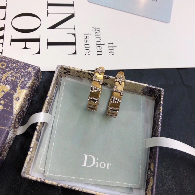 WaterResistant Christian Dior Earrings 234928