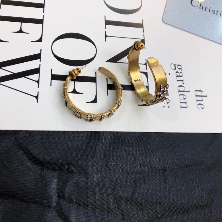 WaterResistant Christian Dior Earrings 234928