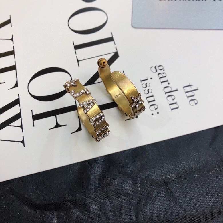 WaterResistant Christian Dior Earrings 234928