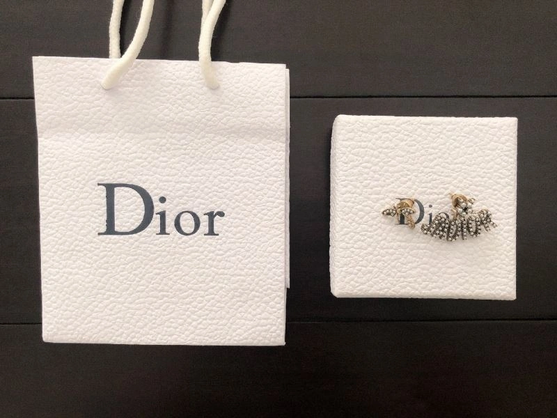 Christian Dior Earrings WrinkleFree 234996
