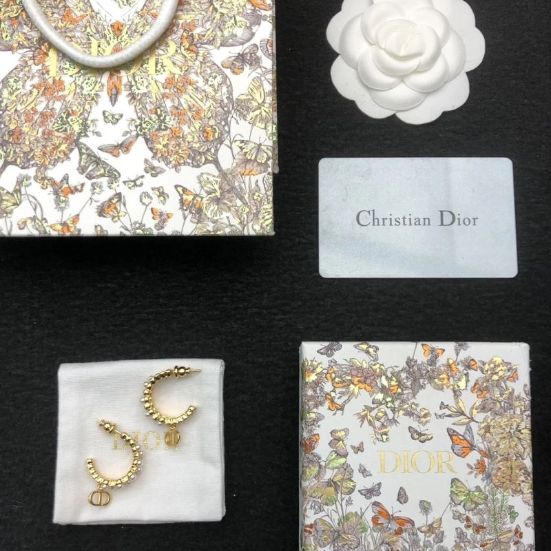 ZeroBulk Christian Dior Earrings 234929