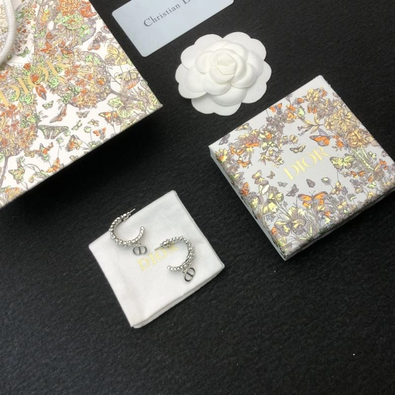 Cozy Christian Dior Earrings 234926