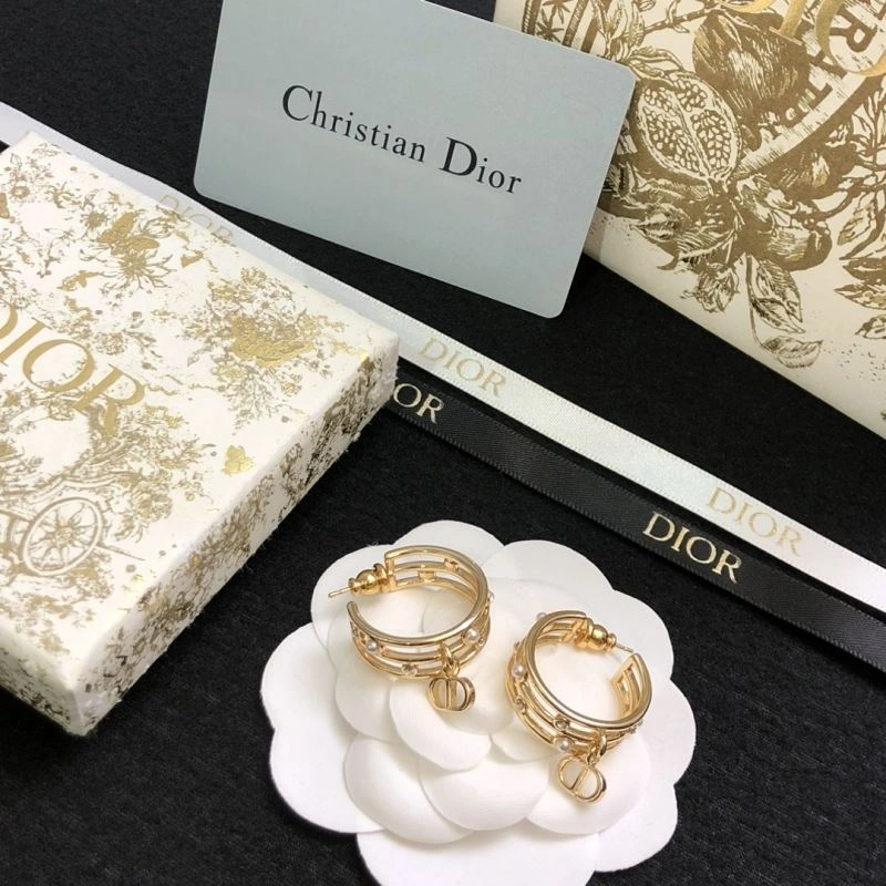 MultiPurpose Christian Dior Earrings 234923