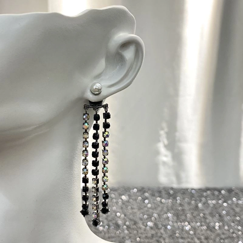 Christian Dior Earrings Practical 234907