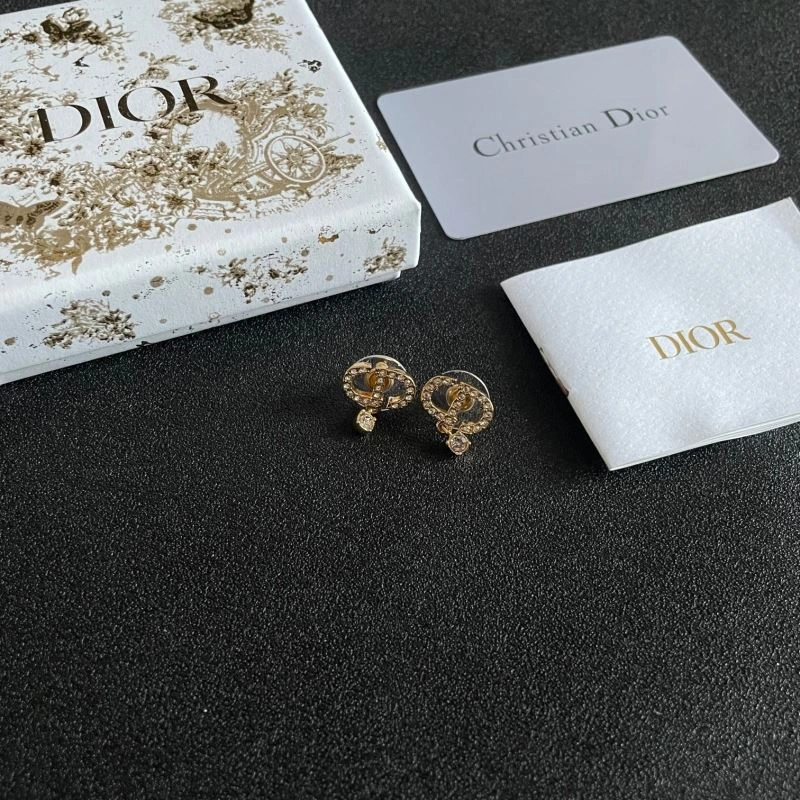 Christian Dior Earrings OdorResistant 234910