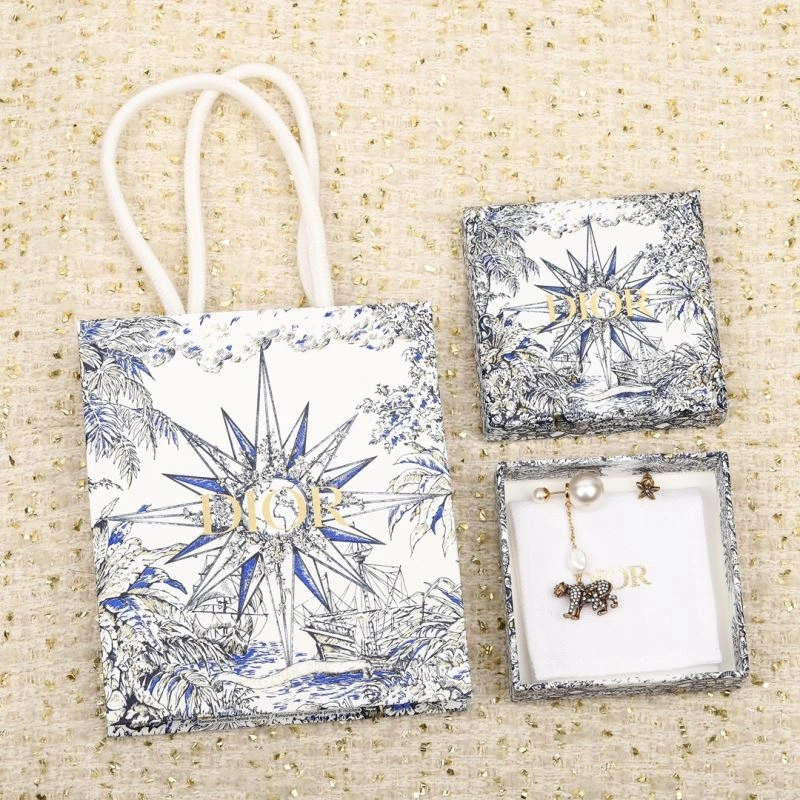 Christian Dior Earrings Practical 234919