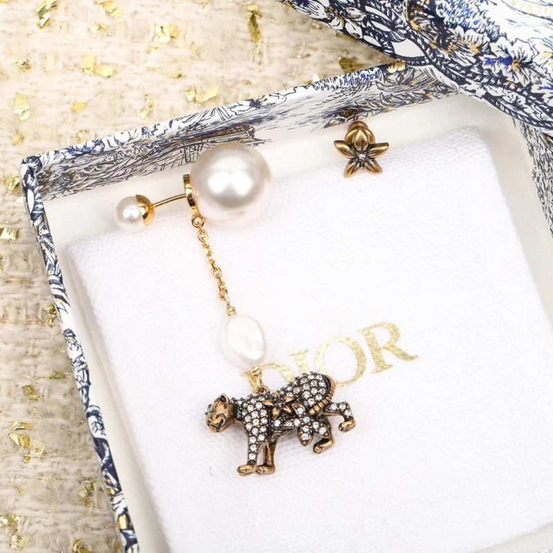 Christian Dior Earrings Practical 234919