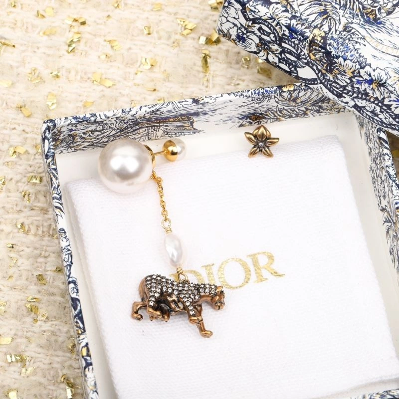 Christian Dior Earrings Practical 234919