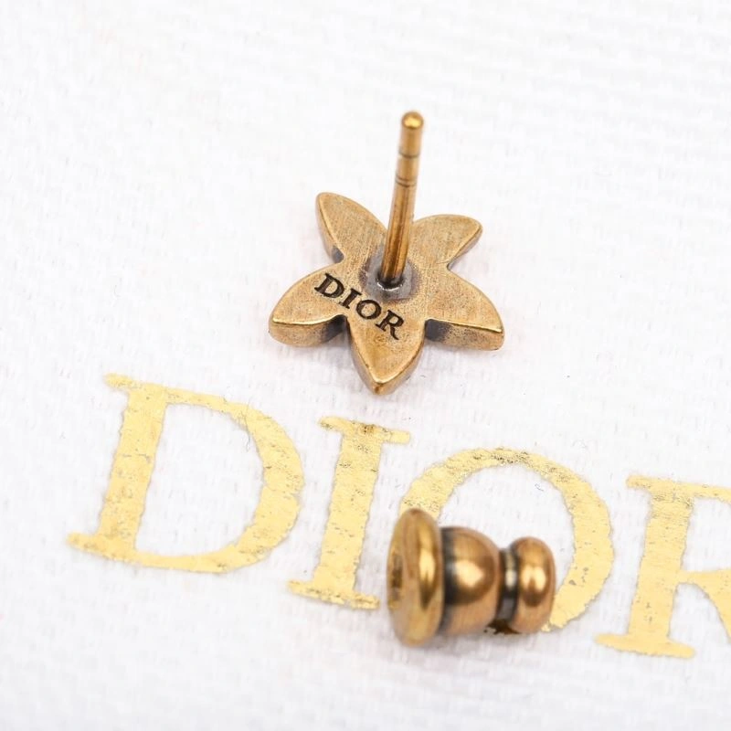 Christian Dior Earrings Practical 234919