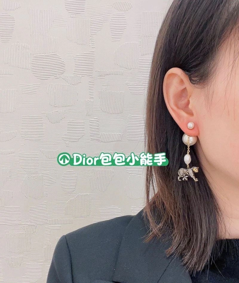 Christian Dior Earrings Practical 234919