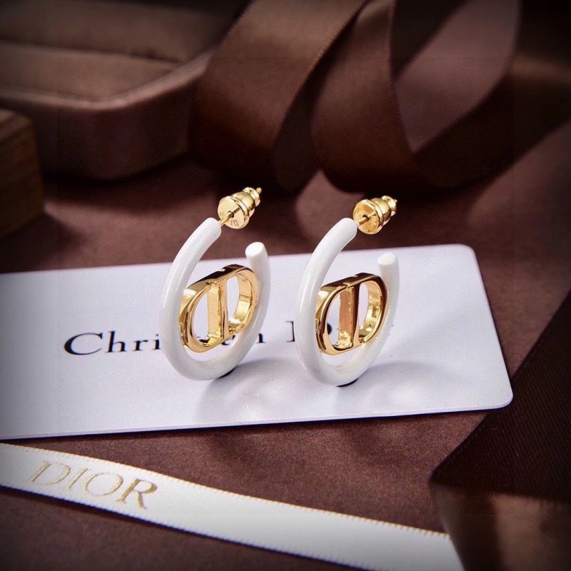 Christian Dior Earrings Affordable 234900