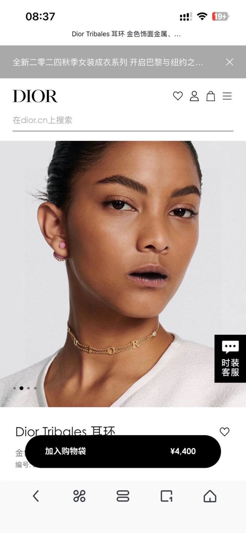 Christian Dior Earrings Stylish 234889