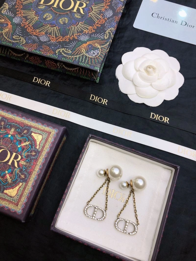 Christian Dior Earrings AllSeason 234885