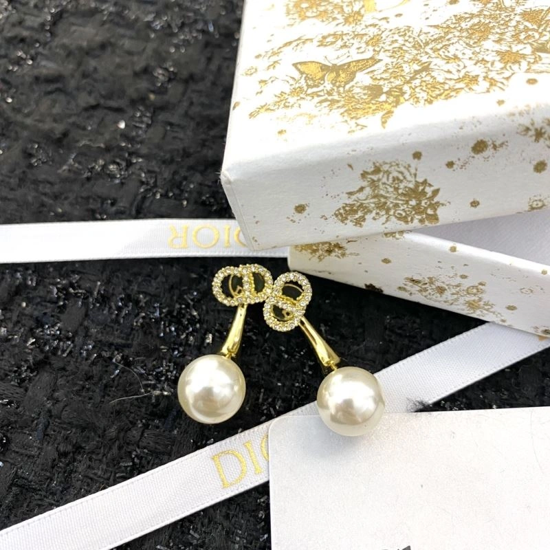 Colorful Christian Dior Earrings 234874
