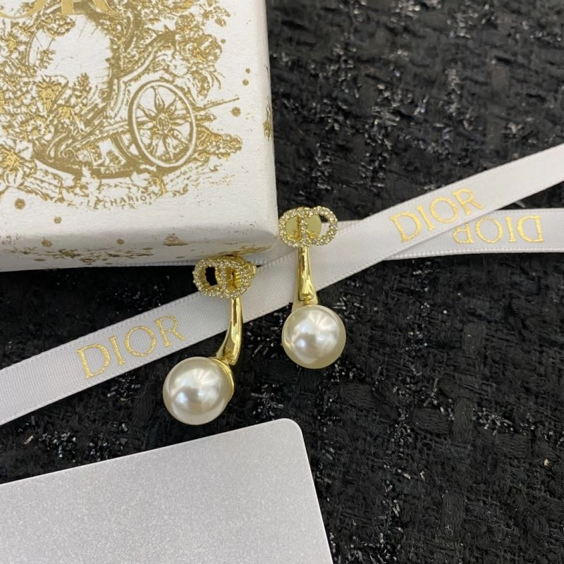 Colorful Christian Dior Earrings 234874