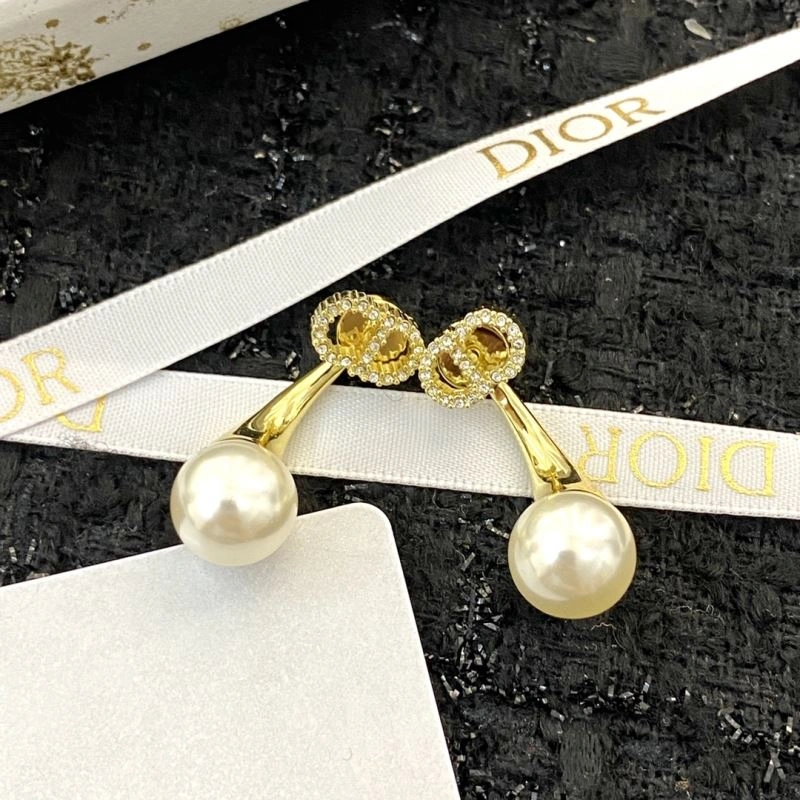 Colorful Christian Dior Earrings 234874
