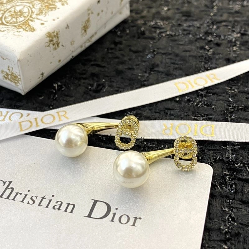 Colorful Christian Dior Earrings 234874