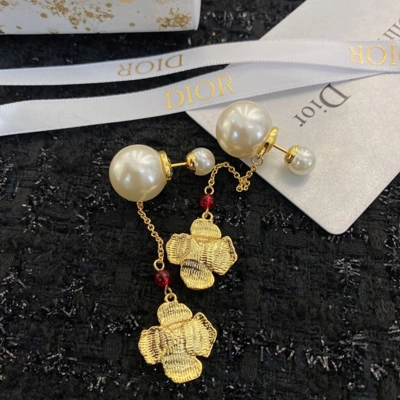Neat Christian Dior Earrings 234872