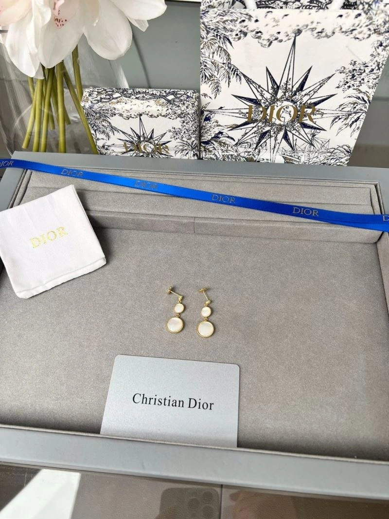 Sleek Christian Dior Earrings 234873