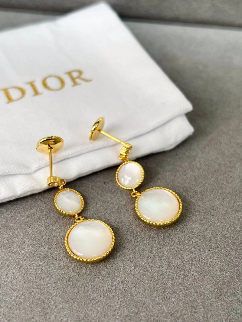Sleek Christian Dior Earrings 234873
