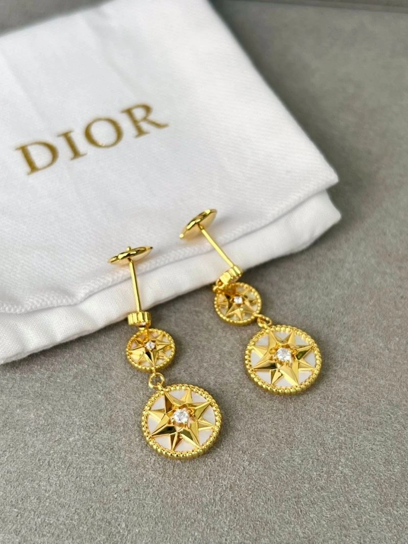 Sleek Christian Dior Earrings 234873