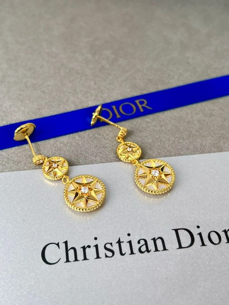Sleek Christian Dior Earrings 234873