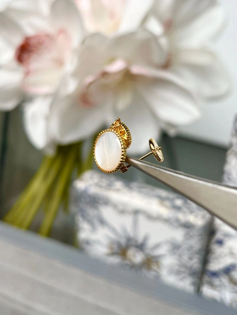 Sleek Christian Dior Earrings 234873